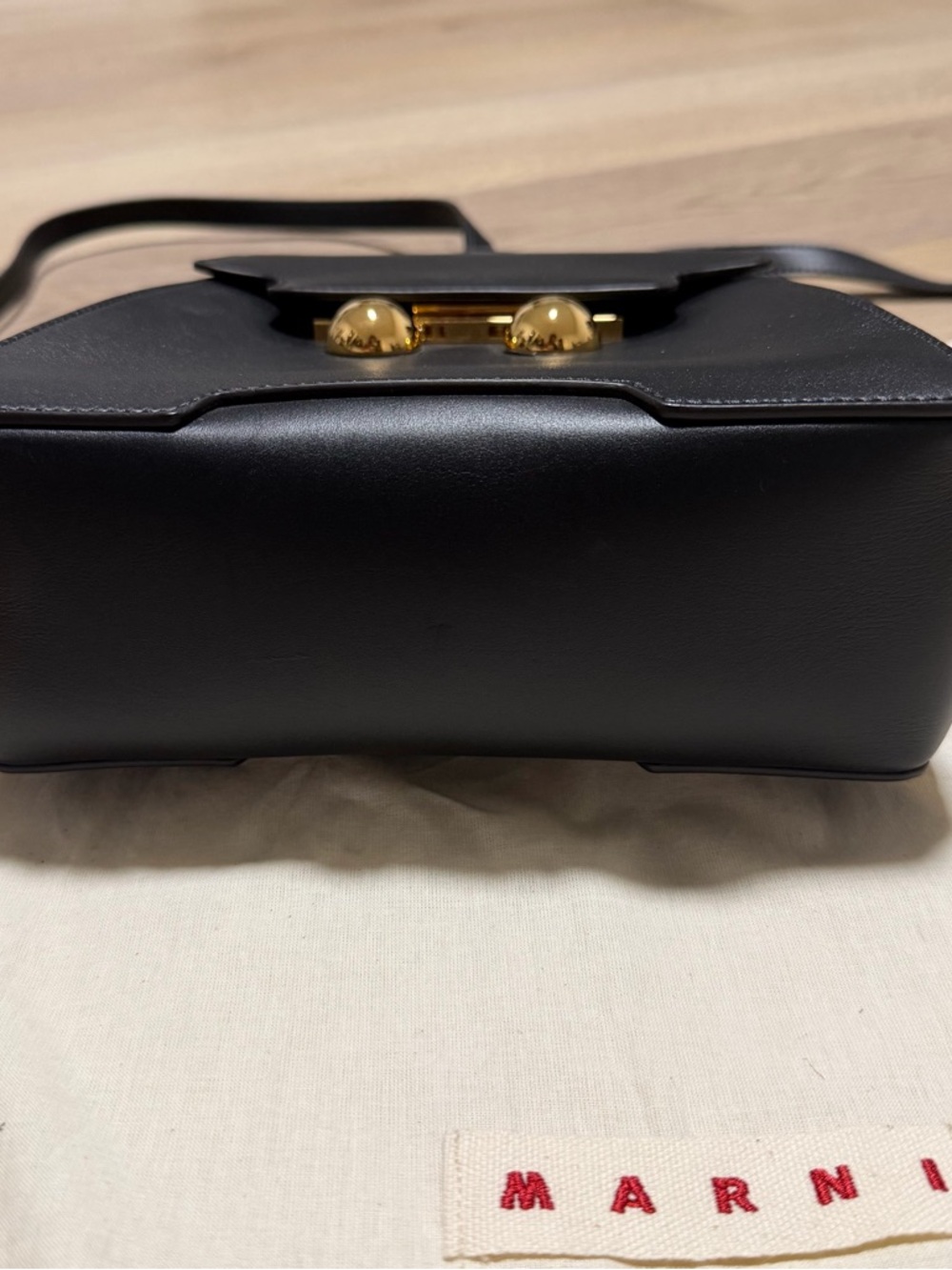 Marni Black Trunkaroo Leather Mini Backpack with Gold Hardware - Picture 5 of 13